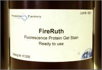 FireRuth fluorescent staing solution